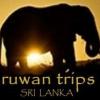 Sri Lanka Round Tours By Driver And Guide. Picture