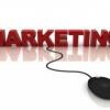 Marketing Reps Needed Now! Picture