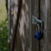 24 Hour Locksmith Orlando FL | Security Lock & Key Picture
